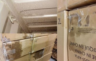 Hiện tượng mưa trong container là gì?