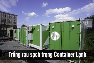 Trồng rau sạch trong container lạnh