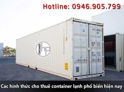 Có bao nhiêu hình thức cho thuê container lạnh phổ biến hiện nay?