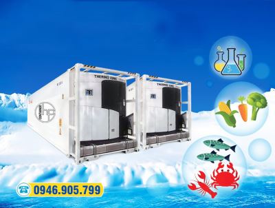 [KINH NGHIỆM HAY] KHI THUÊ CONTAINER LẠNH VẬN CHUYỂN HÀNG BẮC NAM