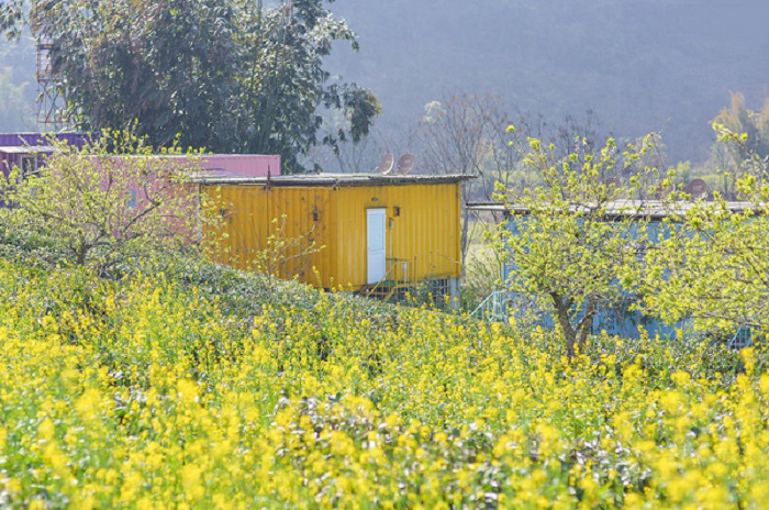 Homestay container siêu xinh ở Mộc Châu - Ảnh 3