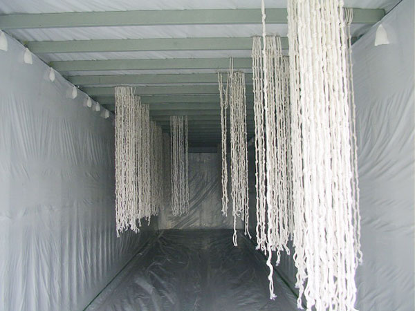 Container treo là gì ? Chúng có những đặc điểm gì nổi bật ? - Ảnh 1
