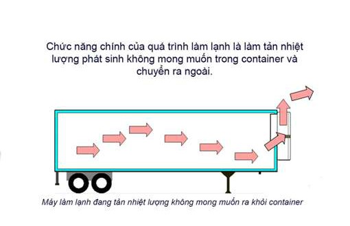 Giá bán container lạnh mới nhất hiện nay - Ảnh 2