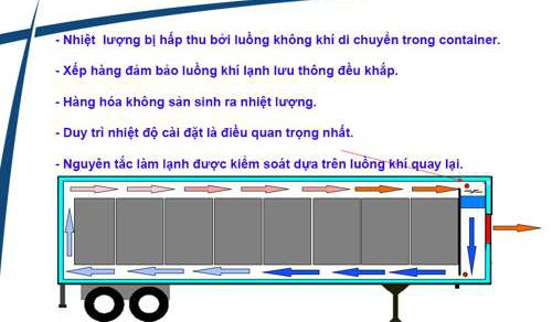 Giá bán container lạnh mới nhất hiện nay - Ảnh 3