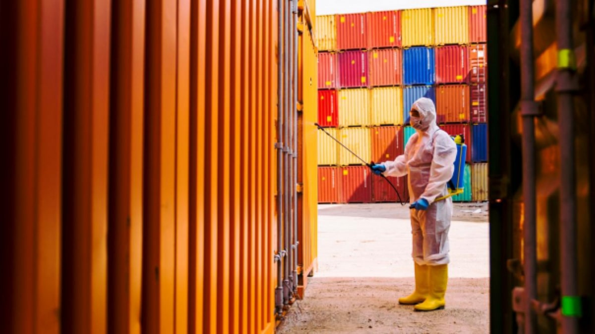 [Giải đáp] Khi nào cần khử trùng container ? - Ảnh 1