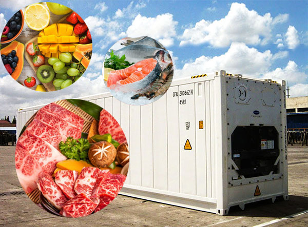 Làm thế nào để bảo quản đồ dễ hỏng với container lạnh